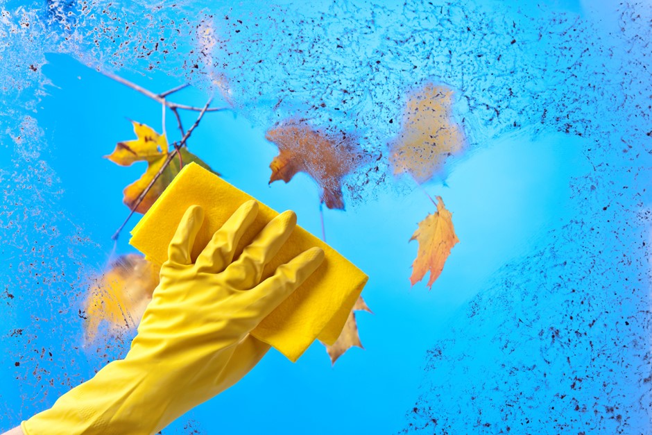 cleaning autumn window