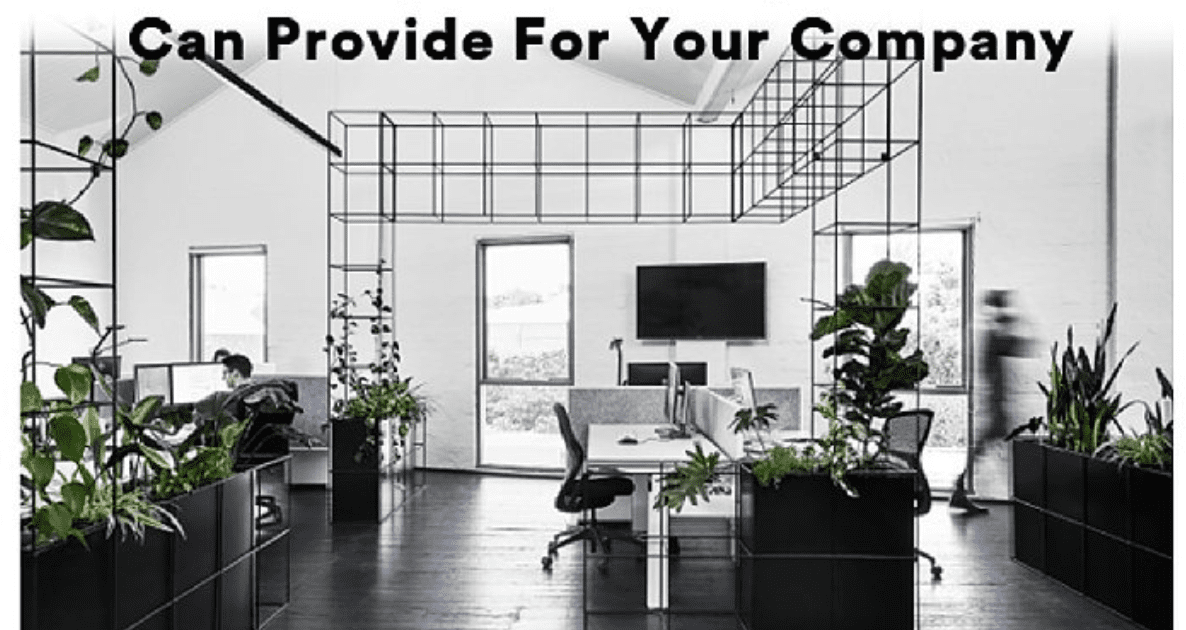 Black and white office interior with potted plants and desks, text reading "Can Provide For Your Company"