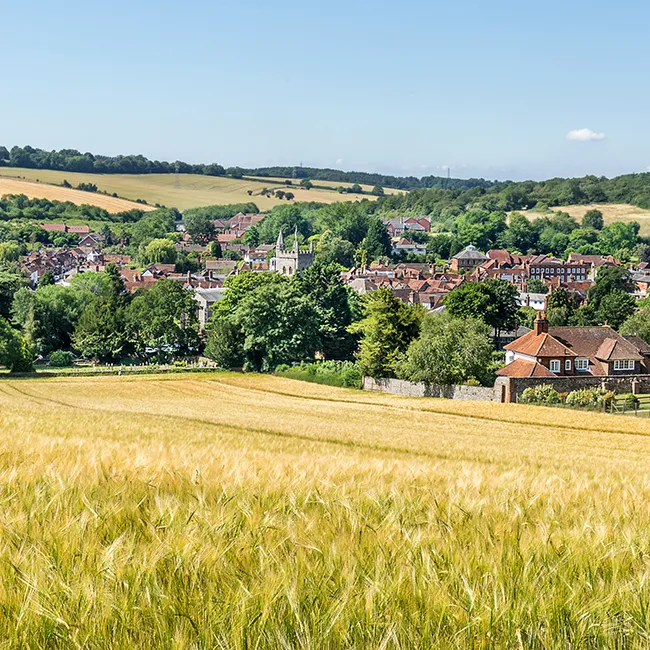 Aerial view of a village surrounded by fields, with a golden wheat field in the foreground