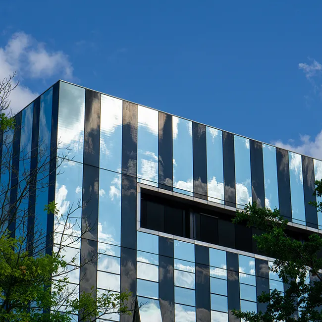 Corner of a mirrored glass office building against a blue sky, tree branches in the foreground