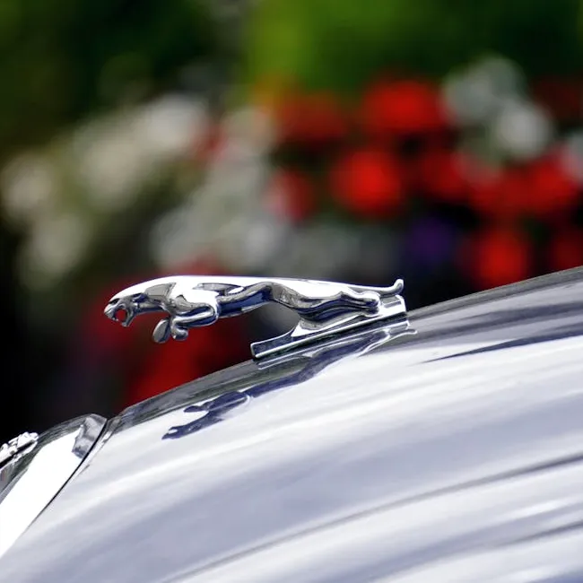 A chrome leaping-cat bonnet ornament on a car, with blurred red flowers behind