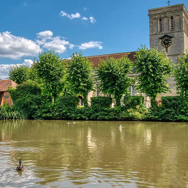 A riverside scene with ducks on the water, trees and a stone church tower with a clock